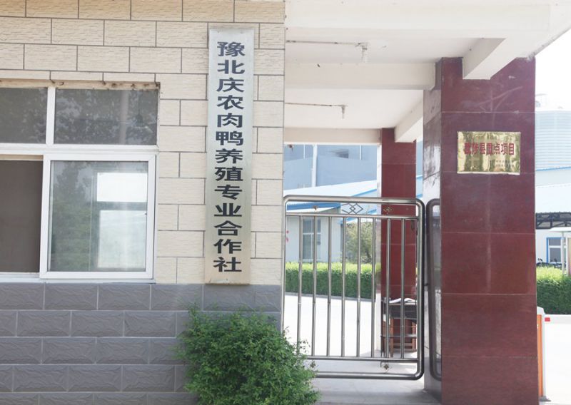 豫北慶農(nóng)肉鴨專(zhuān)業(yè)合作社
